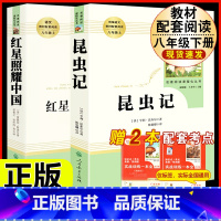 [人教版必读2册]八上必读昆虫记+红星照耀中国 [正版]昆虫记原著完整版法布尔人民教育出版社 八年级上册必读课外书人教版