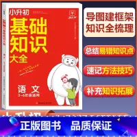 语文》基础知识大全 小学升初中 [正版]2024新版小学基础知识大全语文数学英语小升初知识点大全人教版三四五六年级系统重