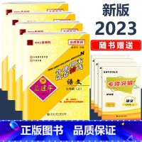 7年级上册 4本 [语英 人教+数科 浙教] 初中通用 [正版]2023新版孟建平初中各地期末试卷精选国一八九年级上册下