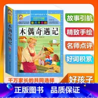 (单本)木偶奇遇记 [正版]全套68本小学生快乐读书吧一二三四五六年级儿童文学四大名著童年安徒生格林童话朝花夕拾简爱小王