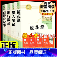 [人教版 4册]镜花缘+猎人笔记+白洋淀纪事+湘行散记 [正版]西游记原着国一上册语文阅读必读四大名着 人民教育出版社初