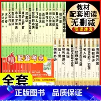 [人教版 30册]七八九年级上下册初中名著全套 [正版]西游记原着国一上册语文阅读必读四大名着 人民教育出版社初中生人教