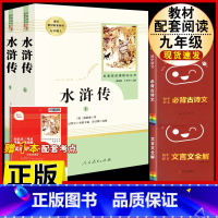 [人教版3册]水浒传.送考试重点+文言文全解+古诗文背诵 [正版]水浒传 原着完整版上下2册人民教育出版社九年级必读人教