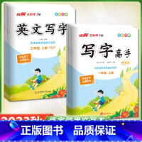[正版]2023秋季新领程新版古新特练字帖写字高手语文临写本英语人教版一二三四五六年级上册小学练字本123456年级写字