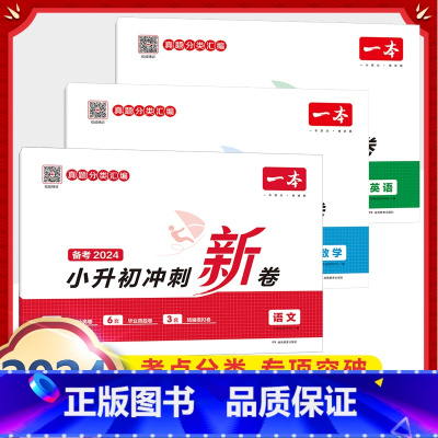 小升初冲刺新卷(语文+数学+英语) 小学通用 [正版]小学知识大盘点名校冲刺方案三四五六年级人教版语文数学英语小考总复习