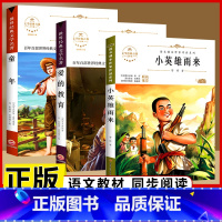 [必读3册]小英雄雨来+爱的教育+童年 [正版]小英雄雨来四年级全套爱的教育童年六年级上册必读的课外书高尔基原著名家经典