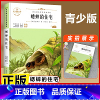 蟋蟀的住宅 [正版]小英雄雨来四年级全套爱的教育童年六年级上册必读的课外书高尔基原著名家经典阅读书籍青少年7-15岁中小
