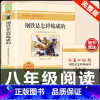 [配套人教版]钢铁是怎样炼成的 .送考点 [正版]钢铁是怎样炼成的原著人民教育出版社完整无删减八年级下册必读名著初中生语