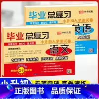 小升初毕业总复习(语文+英语)2本 小学升初中 [正版]2023小升初真题卷语文数学英语试卷必刷题人教版小学毕业升学总复