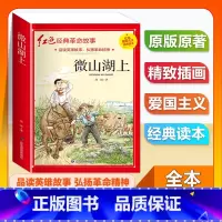 (单本)3-6年级非注音 微山湖上 [正版]全套25本小学生红色革命经典故事书籍初中爱国主义教育绘本抗日英雄人物彩色图案