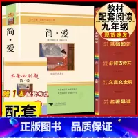[配套人教版5册]简爱+文言文+古诗文+名著导读+语文基础知识 [正版]简爱书籍原着 夏绿蒂勃朗特着人民教育出版社九年级