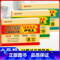 小升初18套真题卷(语文+数学+英语)3本 小学升初中 [正版]2023小升初真题卷语文数学英语试卷必刷题人教版小学毕业