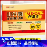 小升初18套真题卷(语文) 小学升初中 [正版]2023小升初真题卷语文数学英语试卷必刷题人教版小学毕业升学总复习入学测