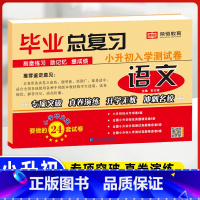 小升初毕业总复习(语文) 小学升初中 [正版]2023小升初真题卷语文数学英语试卷必刷题人教版小学毕业升学总复习入学测试