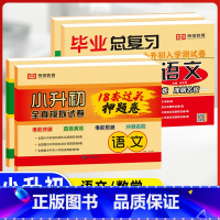 18套真题卷+毕业总复习(语文+数学)4本 小学升初中 [正版]2023小升初真题卷语文数学英语试卷必刷题人教版小学毕业