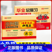 18套真题卷+毕业总复习(语文)2本 小学升初中 [正版]2023小升初真题卷语文数学英语试卷必刷题人教版小学毕业升学总