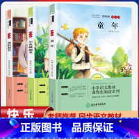 (3本)6年级上册快乐读书吧 [正版]全套25本小学生红色革命经典故事书籍初中爱国主义教育绘本抗日英雄人物彩色图案注音版