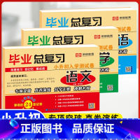 小升初毕业总复习(语文+数学+英语)3本 小学升初中 [正版]2023小升初真题卷语文数学英语试卷必刷题人教版小学毕业升