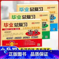 小升初毕业总复习(语文+数学+英语)3本 小学升初中 [正版]2023小升初真题卷语文数学英语试卷必刷题人教版小学毕业升