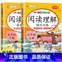 [5年级上下册]阅读理解(2本) 小学五年级 [正版]五年级阅读理解每日一练 老师语文课外阅读理解训练题人教版专项强化训
