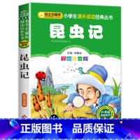 昆虫记 [正版]老师三毛流浪记彩色图案注音版张乐平小学生课外书1-2拼音故事书漫画书一年级二年级必读全特集阅读6-7-8