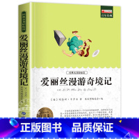 爱丽丝漫游奇境记 [正版]全套4册骑鹅旅行记六年级必读的课外书下册原著鲁滨逊漂流记爱丽丝漫游奇境记汤姆索亚历险记快乐读书