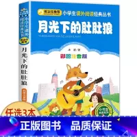 月光下的肚肚狼 [正版]老师小布头奇遇记孙幼军著注音版一年级二年级三年级必读