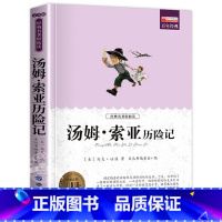 汤姆索亚历险记 [正版]全套4册骑鹅旅行记六年级必读的课外书下册原著鲁滨逊漂流记爱丽丝漫游奇境记汤姆索亚历险记快乐读书吧