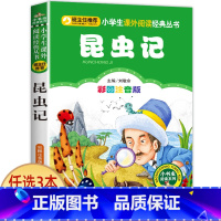 昆虫记 [正版]老师小布头奇遇记孙幼军著注音版一年级二年级三年级必读