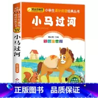 小马过河 [正版]老师没头脑和不高兴注音版一年级二年级任溶溶浙江少儿出版社少年儿童出版社