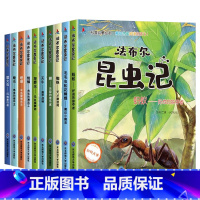 [全10册]昆虫世界科学绘本 [正版]奇妙的科学全套儿童绘本3一6岁读物经典必读幼儿园老师2-4一5-6小班中班大班幼儿