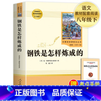 [人教版]钢铁是怎样炼成的(送手册) [正版]经典常谈朱自清和钢铁是怎样炼成的初中原著傅雷家书八年级下册课外书必读文学名