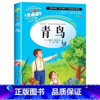 青鸟 [正版]昆虫记原著完整版法布尔著全集小学生三四年级下册必读的课外书老师美绘少儿版人民儿童文学教育阅读书籍山东美术出