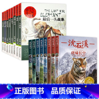 [全套16册]沈石溪动物小说+沈石溪动物画本 [正版]沈石溪动物小说全集全套8册四年级至六年级必读课外书老师读物五年级适