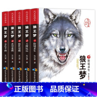 狼王梦(全5册) [正版]沈石溪动物小说全集全套8册四年级至六年级必读课外书老师读物五年级适合小学学生看读的小学生课外阅