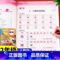 同步练字帖 二年级下 [正版]老师二年级上册语文练字帖人教版 小学2年级同步字帖练字生字每日一练