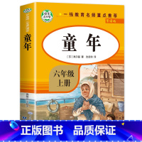 童年 [正版]爱的教育小英雄雨来童年书全套3册高尔基原著完整版6小学生六年级必课外阅读书籍上册上学期经典快乐读书吧