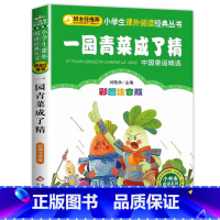 一园青菜成了精 [正版]彩色图案注音版木偶奇遇记注音版一年级二年级三年级上册下童话文学老师图书本小学生课外阅读书籍幼儿读