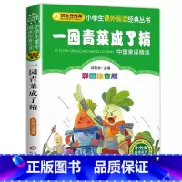 一园青菜成了精 [正版]彩色图案注音版木偶奇遇记注音版一年级二年级三年级上册下童话文学老师图书本小学生课外阅读书籍幼儿读