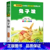 兔子坡 [正版]老师了不起的狐狸爸爸注音版一年级二年级明天出版社 了不起的狐爸爸全套