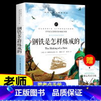 钢铁是怎样炼成的 [正版]傅雷家书 钢铁是怎样炼成的原著无删减初中生八年级下册阅读课外阅读书籍文学经典世界名著傅雷家书