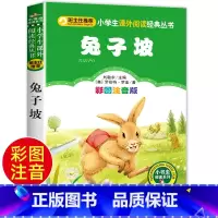 兔子坡 [正版]兔子坡 彩图注音版注音版小学1-3年级彩图儿童书籍6-7-8-12岁小学生一二年级课外书班主任 儿童文学
