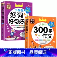 好词好句好段+300字作文 小学通用 [正版]老师小学生好词好句好段大全 一年级二年级三年级 小学语文优美句子日积月累摘
