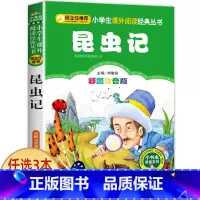 昆虫记 [正版]兔子坡 彩图注音版注音版小学1-3年级彩图儿童书籍6-7-8-12岁小学生一二年级课外书班主任 儿童文学