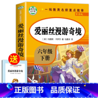 [六年级下册]爱丽丝漫游奇境 [正版]全套7册 小学六年级课外书必读童年书高尔基经典书目上下册原著 爱的教育 小英雄雨来