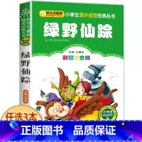 绿野仙踪 [正版]兔子坡 彩图注音版注音版小学1-3年级彩图儿童书籍6-7-8-12岁小学生一二年级课外书班主任 儿童文