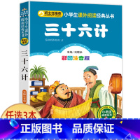 三十六计 [正版]兔子坡 彩图注音版注音版小学1-3年级彩图儿童书籍6-7-8-12岁小学生一二年级课外书班主任 儿童文