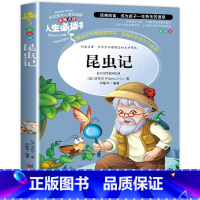 昆虫记 [正版]老师苹果树上的外婆 新蕾出版社三年级四年级必读国际大奖小说