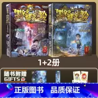 [2册]谜境冒险1+2 [正版]墨多多谜境冒险系列全套33册原版阳光版第二季小说全集谜境探险书籍新文字版雷欧幻像着儿童探