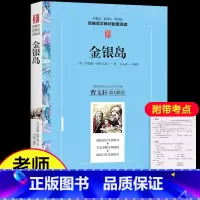 [正版]金银岛书 小学生课外阅读书籍三四五六年级必读经典书目原著青少年版3-4-5-6年级语文名著儿童文学故事书6-12
